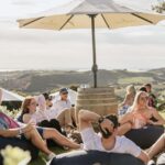 Waiheke Island: Scenic Island Wine Tour & Local Wine Tasting - Key Points