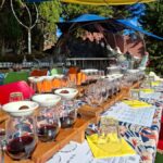 Waiheke Island: Sip and Savor 3 Vineyards Tour with Lunch - What Makes This Tour Stand Out?