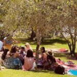 Waiheke Island Wine Tour with Tastings & Gourmet Beachfront Lunch - What Could Be Improved?