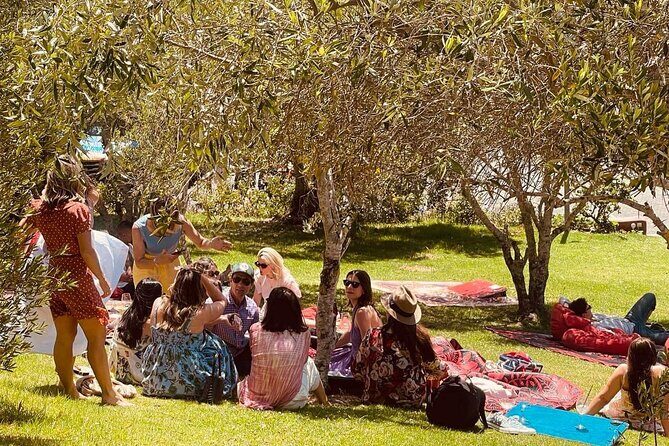 Waiheke Island Wine Tour with Tastings & Gourmet Beachfront Lunch - What Could Be Improved?