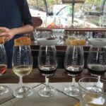 Waiheke Island Wine Tours - PREMIUM Wines - Max 11 clients ! - What Makes This Tour Stand Out?