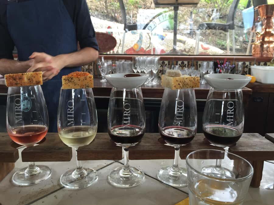 Waiheke Island Wine Tours - PREMIUM Wines - Max 11 clients ! - What Makes This Tour Stand Out?
