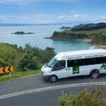 Waiheke Island: Zipline and Native Forest Adventure Trip - Who Will Love This Tour?