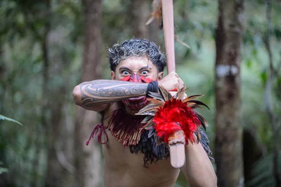 Waitangi Treaty Grounds Day Tour From Auckland - Why This Tour Offers Good Value