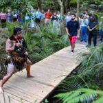 Waitangi: Treaty Grounds Hng and Concert Combo Pass - Introduction: What’s in Store at Waitangi?