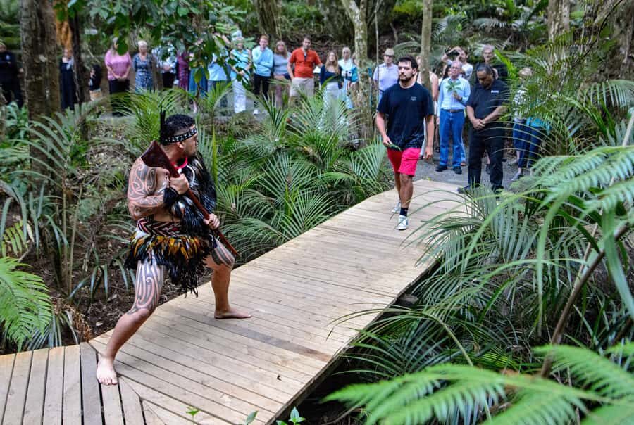 Waitangi: Treaty Grounds Hng and Concert Combo Pass - Introduction: What’s in Store at Waitangi?