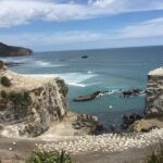 Waitomo Caves Private Driver for Tour - What Travelers Are Saying