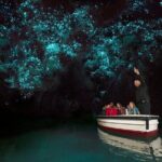 Waitomo Glow Worm Caves - The Experience: A Deep Dive into the Tour