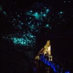 Waitomo Glow Worm Caves & Te Puia (Rotorua) Private Tour - The Value of the Tour