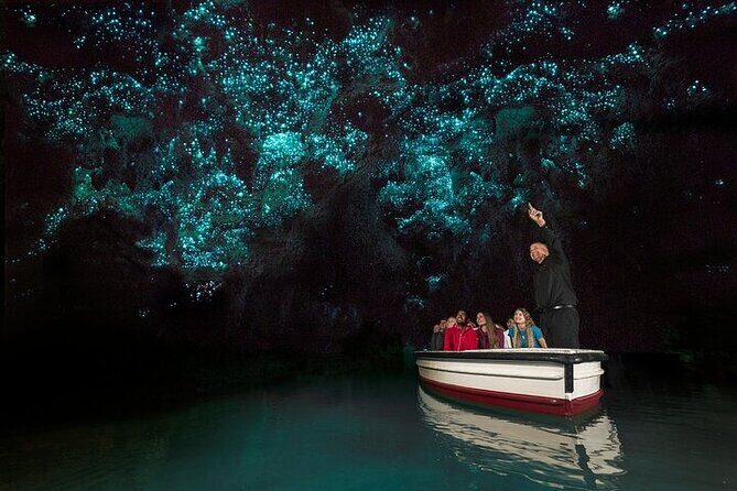 Waitomo Glow Worm Caves - The Experience: A Deep Dive into the Tour