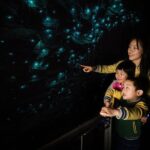 Waitomo Glowworm Caves and Kiwi House Small Group from Auckland - What’s Not Included
