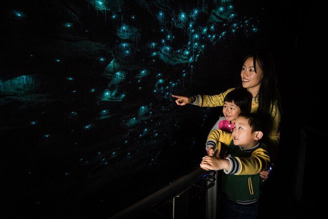 Waitomo Glowworm Caves and Kiwi House Small Group from Auckland - What’s Not Included