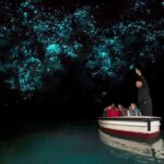 Waitomo Glowworm Caves Guided Tour - The Experience in Detail
