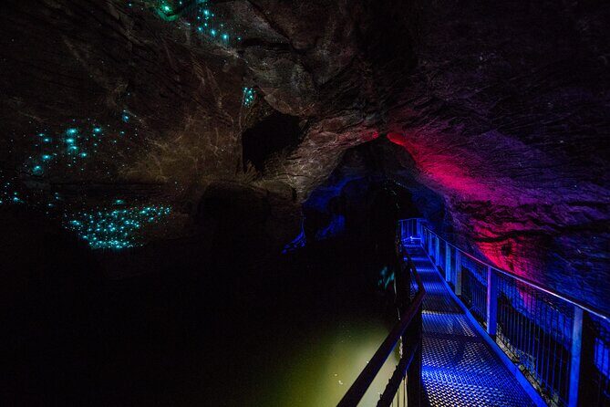 Waitomo Glowworm & Ruakuri Twin Cave - Private Tour From Auckland - What Travelers Say