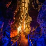 Waitomo Triple Cave Experience - Private Tour From Auckland - What Makes This Tour Stand Out?