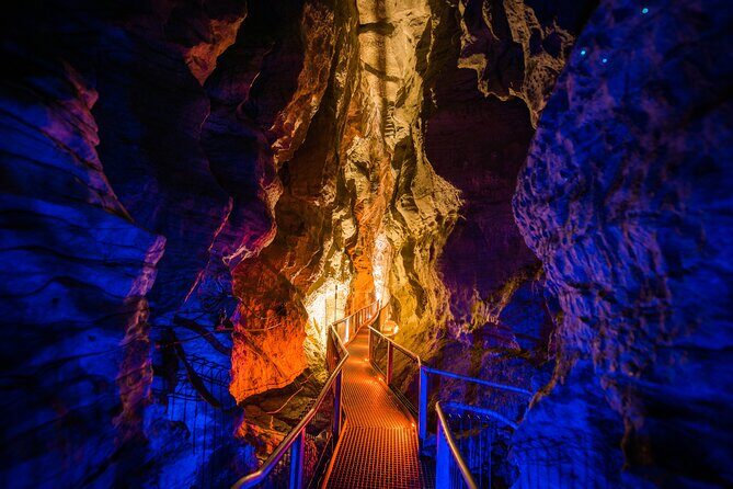 Waitomo Triple Cave Experience - Private Tour From Auckland - What Makes This Tour Stand Out?
