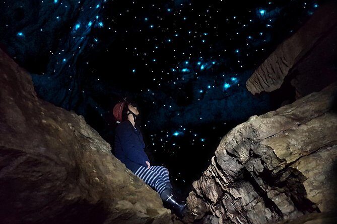 Waitomos Hidden Gem: Small-Group Off the Beaten Track Tour - Discovering Waitomo’s Hidden Wonderland