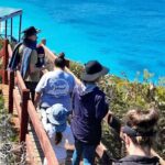 Walk on Country at Taananeditj (Rotary Lookout) - The Sum Up