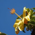 Walk the Darwin Botanic Gardens - What Travelers Say