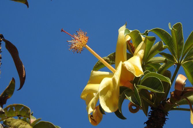 Walk the Darwin Botanic Gardens - What Travelers Say