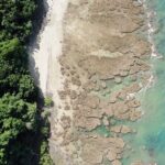 Walkabout Cultural Adventures - Ngana Kulkinga Dungay Full Day - An In-Depth Look at the Tour Experience