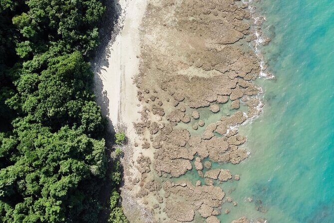 Walkabout Cultural Adventures - Ngana Kulkinga Dungay Full Day - An In-Depth Look at the Tour Experience