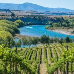 Wanaka: Afternoon Boutique Wine Tour - A Closer Look at the Wanaka Boutique Wine Tour