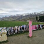 Wanaka Private Day Trip from Queenstown: TravelnGo - Who Should Consider This Tour