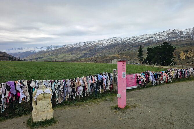 Wanaka Private Day Trip from Queenstown: TravelnGo - Who Should Consider This Tour