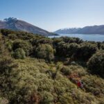 Wanaka: Water Taxi & Mou Waho Island Tour - A Full Breakdown of the Experience