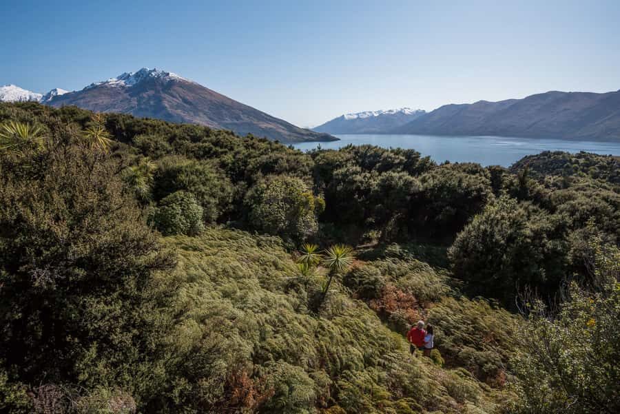 Wanaka: Water Taxi & Mou Waho Island Tour - A Full Breakdown of the Experience