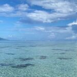 Want to escape? Treat yourself to a snorkeling session in Tahiti! - What’s Included and What’s Not