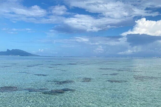 Want to escape? Treat yourself to a snorkeling session in Tahiti! - What’s Included and What’s Not