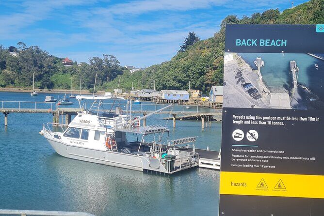 Water Taxi and Shuttle to Larnach Castle - Why This Tour Works Well for You
