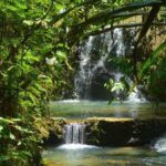 Waterfalls and Nature Tour - The Hiking Experience