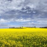 Wave Rock Private Tour - What Makes This Tour Stand Out?