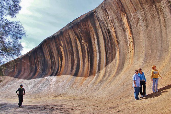 Wave Rock & Rottnest Island - Air & Ground Tour - Why This Tour Offers Good Value