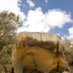 Wave Rock, York and Aboriginal Cultural Day Tour from Perth - Who Will Love This Tour?