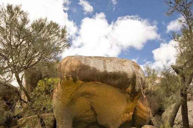 Wave Rock, York and Aboriginal Cultural Day Tour from Perth - Who Will Love This Tour?