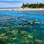 Wavedancer Low Isles Great Barrier Reef Sailing Cruise from Cairns - What Travelers Have to Say