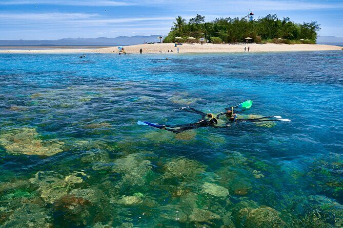 Wavedancer Low Isles Great Barrier Reef Sailing Cruise from Cairns - What Travelers Have to Say