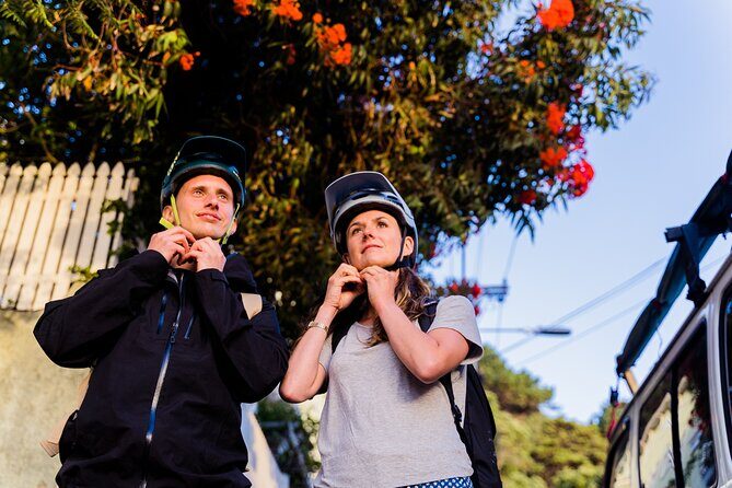 Wellington Bike Rental - The Itinerary: What You Can See and Do