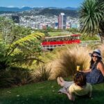 Wellington Cave to Coast Highlights Tour (5 Hours with Lunch) - Transportation & Group Size