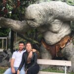 Wellington city heights private sightseeing tour - Coastal beauty and natural stops