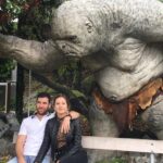 Wellington city heights sightseeing Private 5 hour tour - The Sum Up