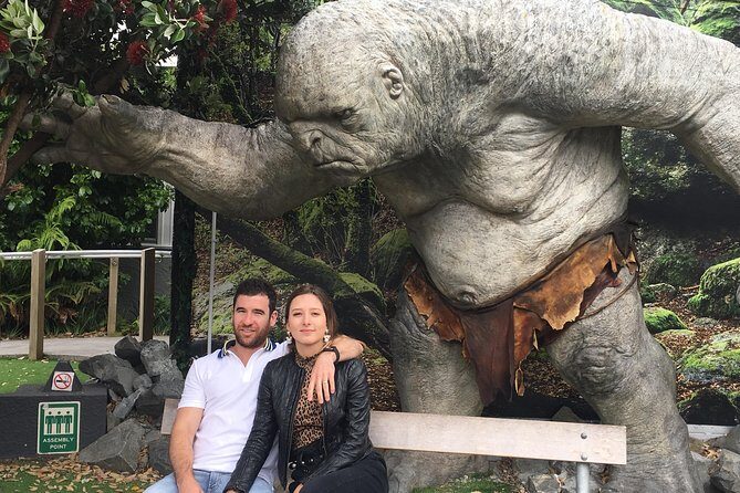 Wellington city heights sightseeing Private 5 hour tour - The Sum Up