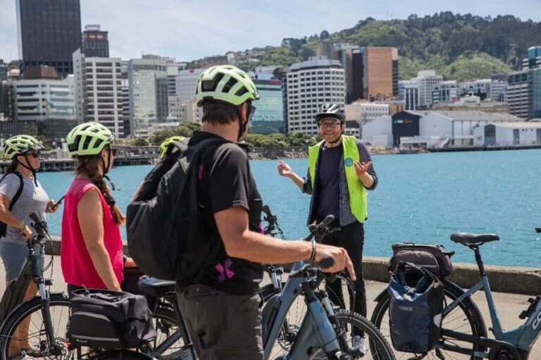 Wellington: Easy Rider Guided eBike Tour - Who Will Love This Tour?