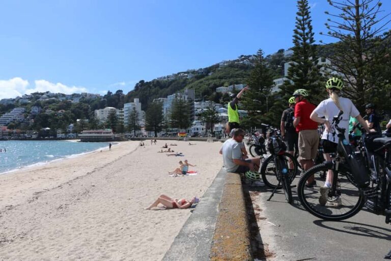 Wellington: Guided Sightseeing Tour by Electric Bike - What Makes This Tour Stand Out?