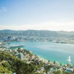 Wellington Helicopters Scenic Harbour Flight - Authentic Experiences from Reviews