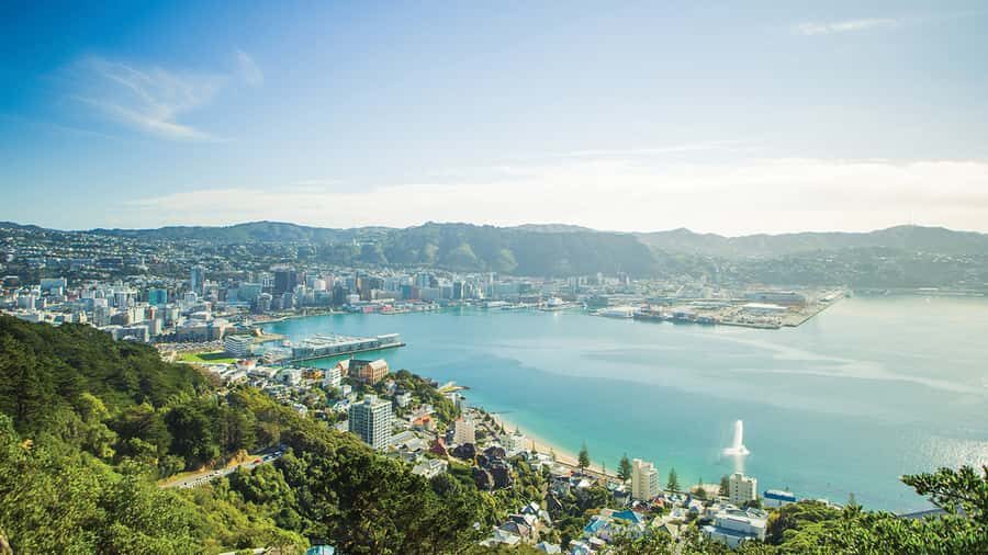 Wellington Helicopters Scenic Harbour Flight - Authentic Experiences from Reviews